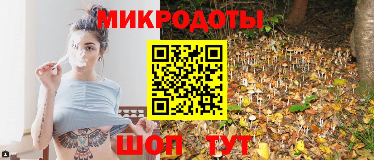 Псилоцибиновые грибы Magic Shrooms  Вход с VPN  Гудермес 